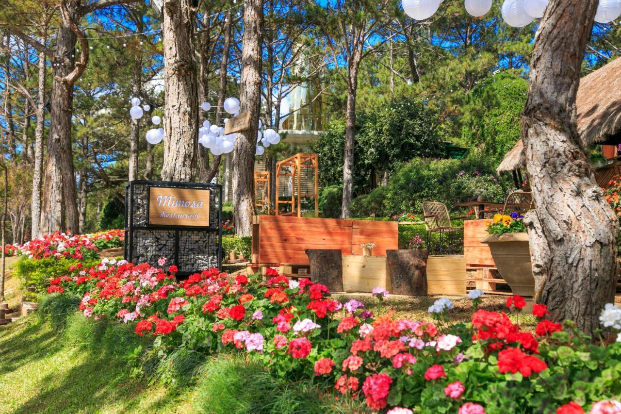 Ttc Dreamy Hill Resort - Unlimited Access To Ttc World - Thung Lung Tinh Yeu Dalat Exteriör bild