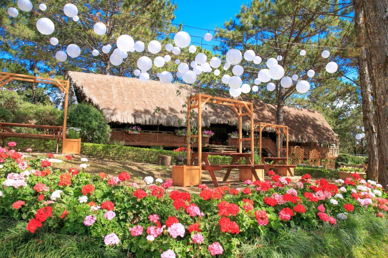 Ttc Dreamy Hill Resort - Unlimited Access To Ttc World - Thung Lung Tinh Yeu Dalat Exteriör bild