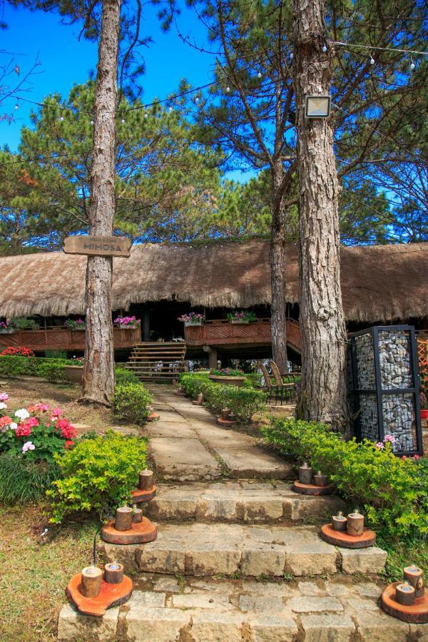 Ttc Dreamy Hill Resort - Unlimited Access To Ttc World - Thung Lung Tinh Yeu Dalat Exteriör bild