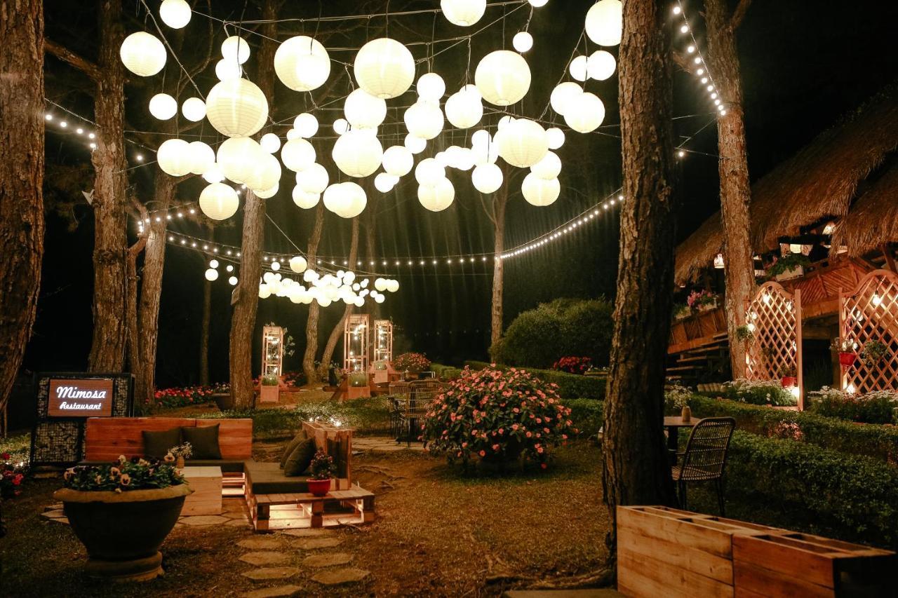 Ttc Dreamy Hill Resort - Unlimited Access To Ttc World - Thung Lung Tinh Yeu Dalat Exteriör bild