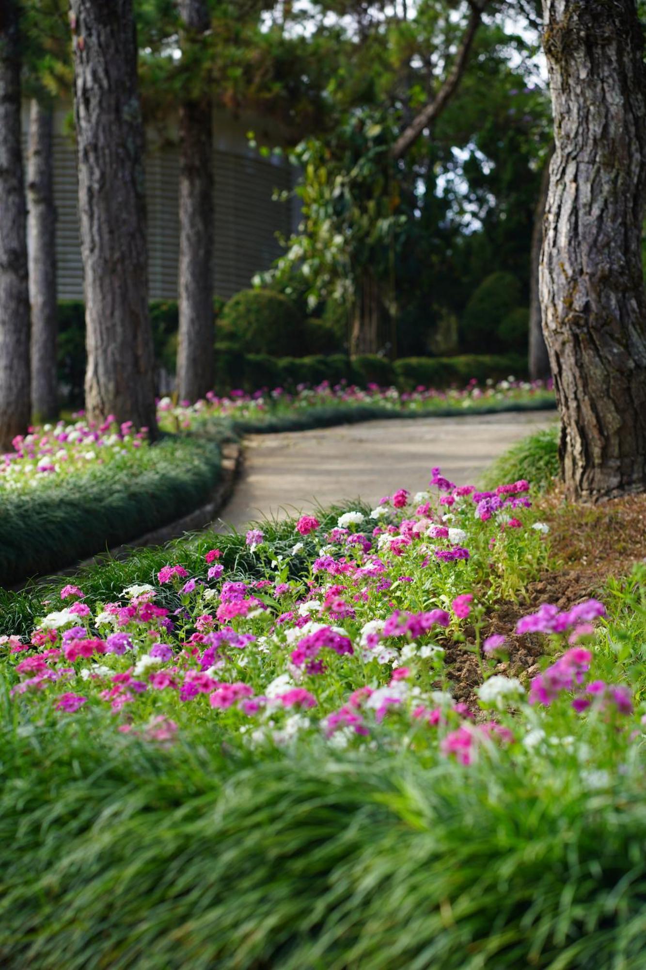 Ttc Dreamy Hill Resort - Unlimited Access To Ttc World - Thung Lung Tinh Yeu Dalat Exteriör bild