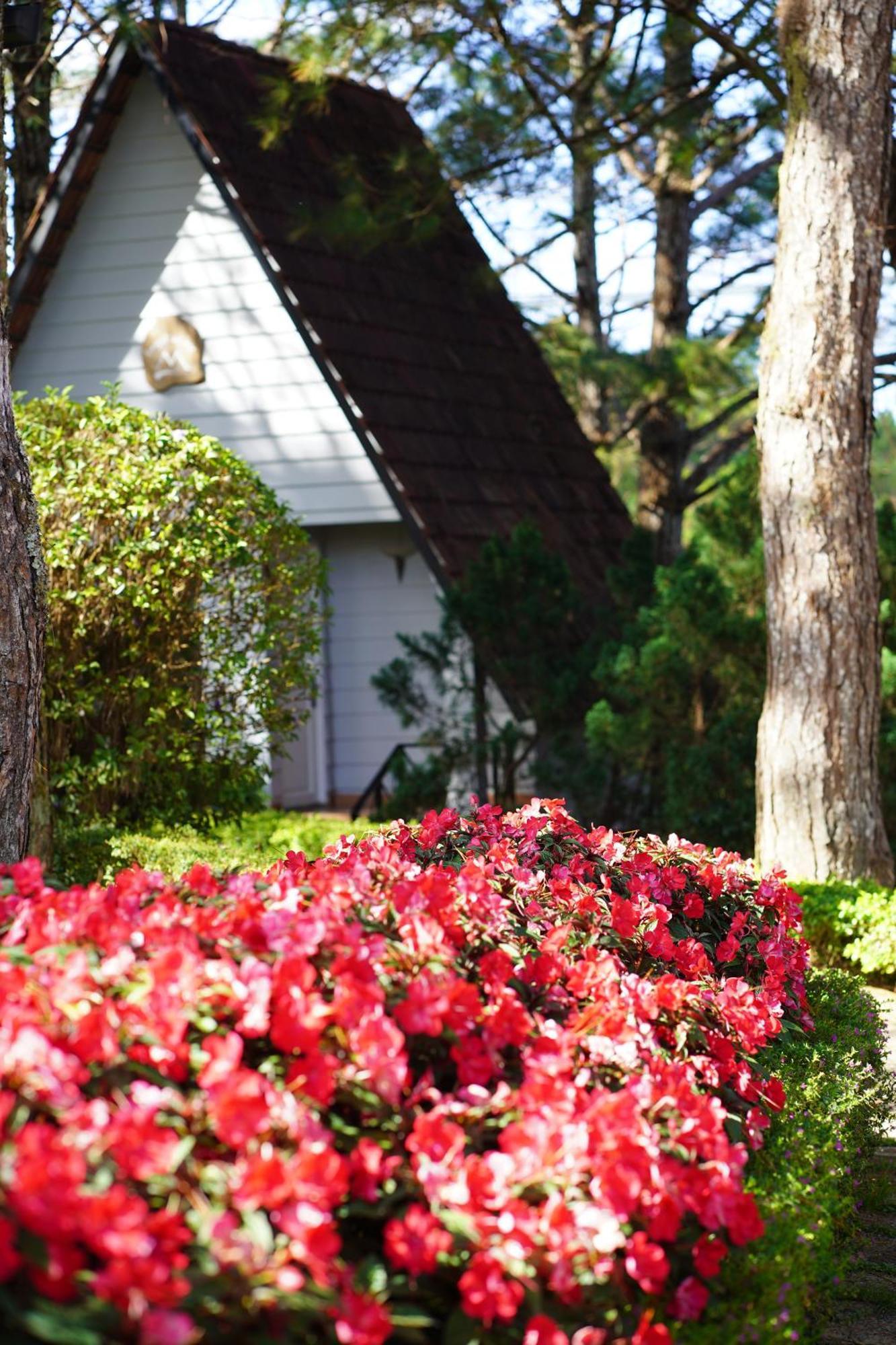 Ttc Dreamy Hill Resort - Unlimited Access To Ttc World - Thung Lung Tinh Yeu Dalat Exteriör bild